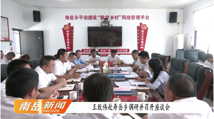王致伟赴寿岳乡调研并召开座谈会