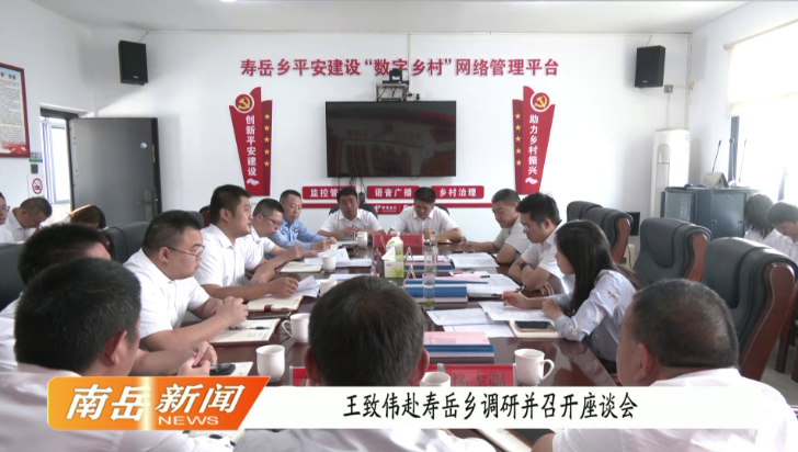 王致伟赴寿岳乡调研并召开座谈会