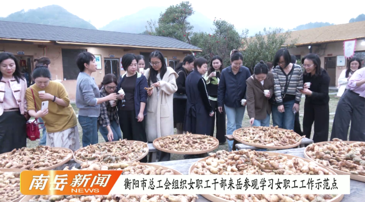 衡阳市总工会组织女职工干部来岳参观学习女职工工作示范点