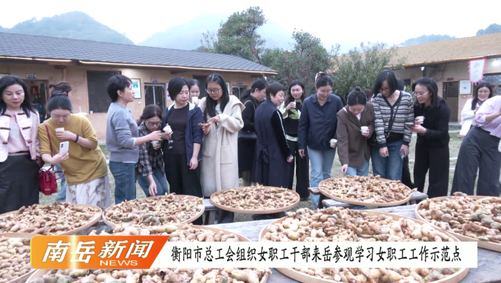 衡阳市总工会组织女职工干部来岳参观学习女职工工作示范点