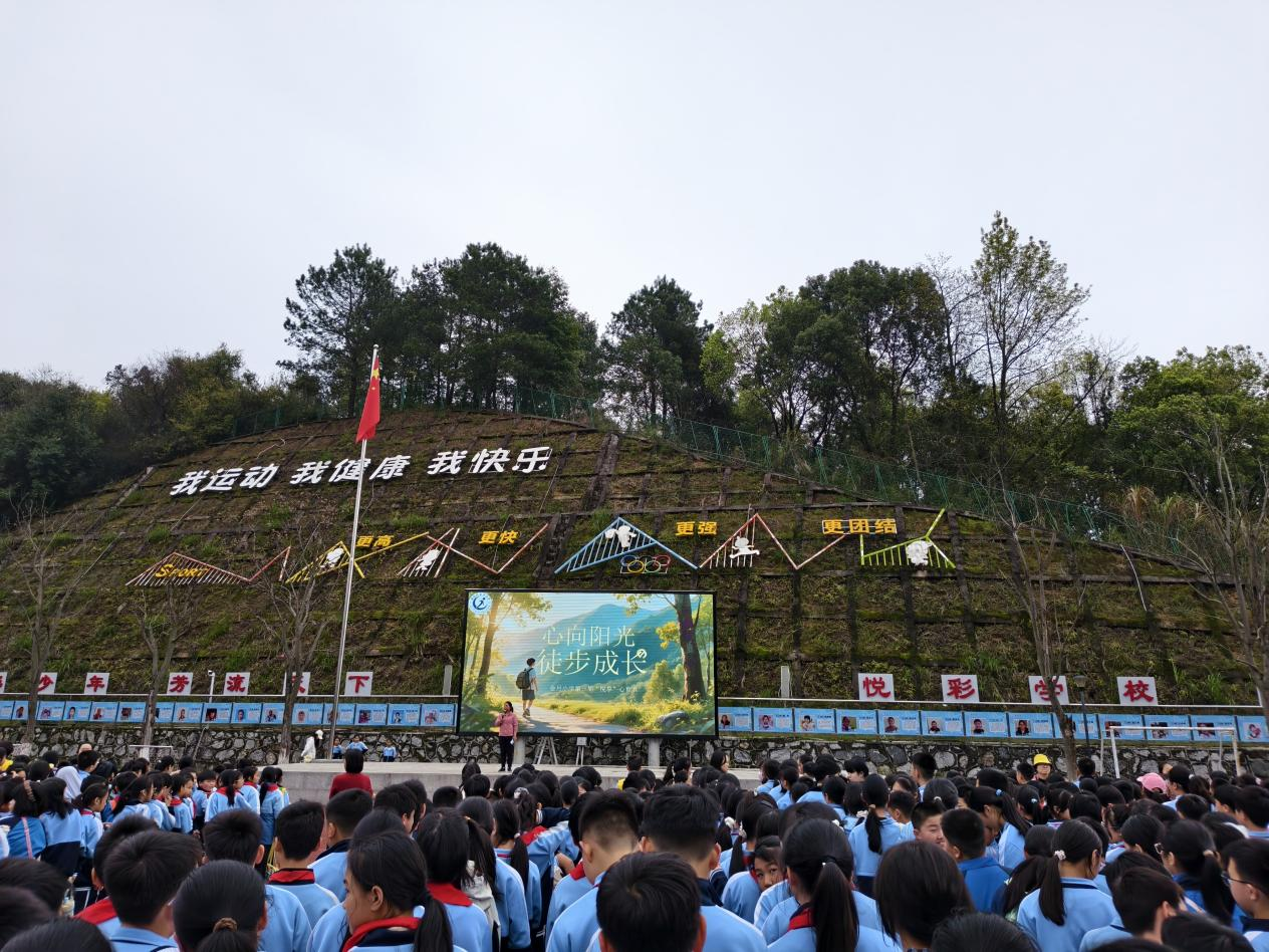 图片1.png 图片1.png