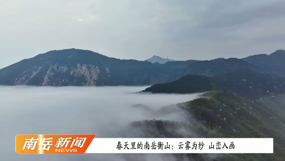 春天里的南岳衡山：云海为纱 山峦入画