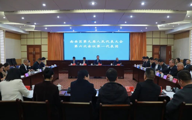 区九届人大六次会议 | 刘浪参加第一代表团分团审议