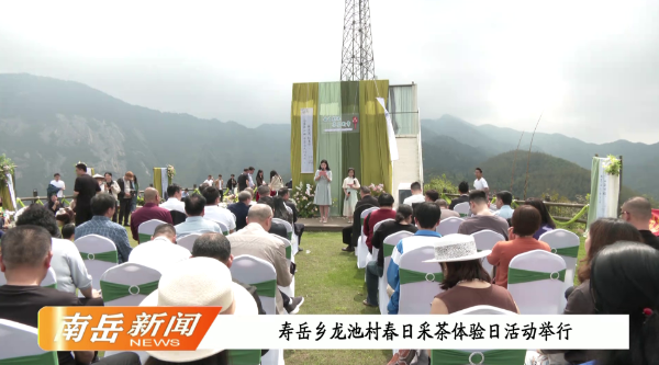 寿岳乡龙池村春日采茶体验日活动举行