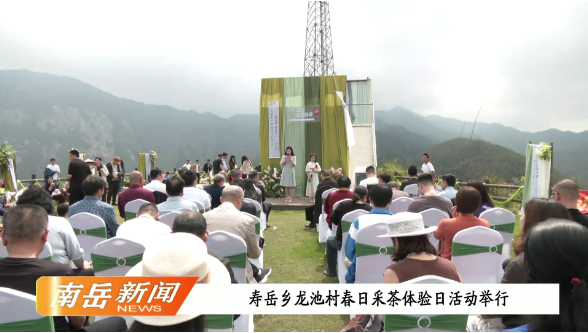 寿岳乡龙池村春日采茶体验日活动举行