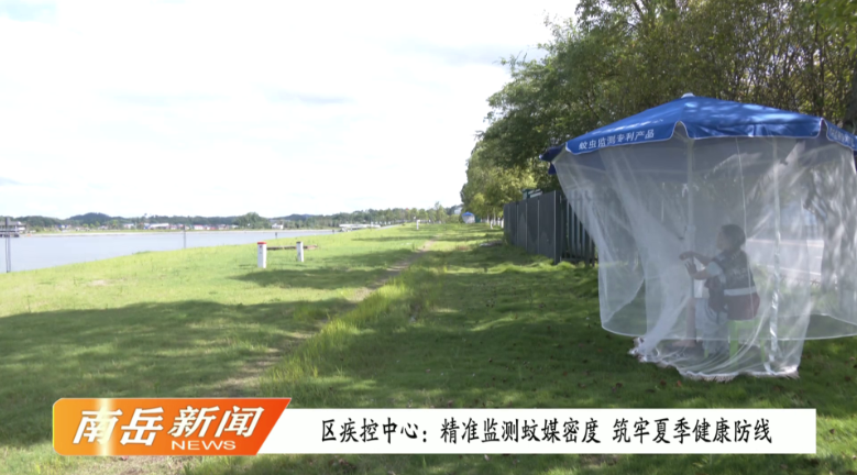 区疾控中心：精准监测蚊媒密度 筑牢夏季健康防线