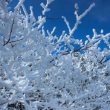 益阳天气｜新一轮雨雪天气送达，最低气温将下降到-3℃