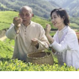 茶乡的幸福路径——话说安化县二十四小时健康茶生活时尚