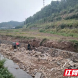 桃江马迹塘镇：端牢自己的“饭碗” 开展高标准农田建设