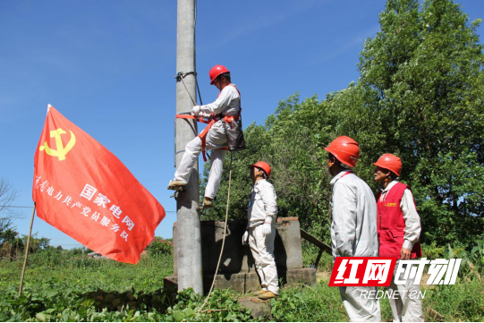 国网资阳区供电公司 旗帜领航电赋能 农网改造惠民生1252.marked.png