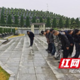 桃江:情系烈士家属 致敬天狼战友