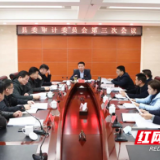 南县：罗讯主持召开县委审计委员会第三次会议