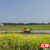 “犇”向春天 | 赫山泉交河镇：集中育苗育秧，万亩良田在望