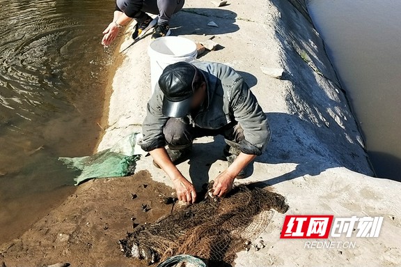 ee48a0a2e1db40859d3c36191af8a9ef.marked.jpg