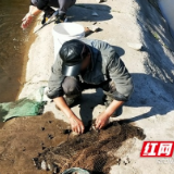 嘴馋顶风作案，大通湖一男子非法捕鱼被抓