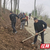 赫山八字哨镇：党群激发乡村振兴活力