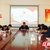 益阳：“学史明理·重温风雨百年路” 团市委开展党史学习教育第一次专题学习
