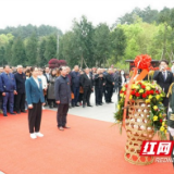 桃江：247名村（社区）党组织书记齐聚韶山开展党史学习教育