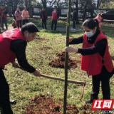 志愿服务再出发 建行益阳分行开展“学雷锋”志愿服务活动