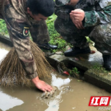 资阳：弘扬雷锋精神，争当时代楷模！茈湖口镇开展民兵“学雷锋”活动