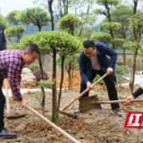 安化烟溪：学史力行添新绿 生态文明树新风