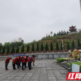 桃江多形式开展“文明祭祀,绿色清明”志愿服务活动