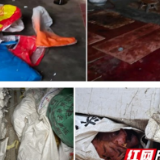 桃江县市场监管局端掉一家熏腊制品黑作坊