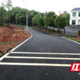 赫山衡龙桥镇高家桥村：路通产业兴  生活有奔头
