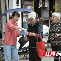 视频｜野蘑菇疯长季 沅江提醒市民山里的野菇不要采