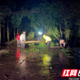 大通湖交警：顶风冒雨全力守护群众平安