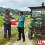 桃江修山镇：送证上门助农忙 服务到家暖人心