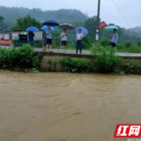 赫山龙光桥街道：抢时间护平安 全方位强化山洪地质灾害防御