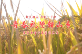 益阳市青少年管弦乐团大型交响乐《我的祖国》音乐宣传片上线