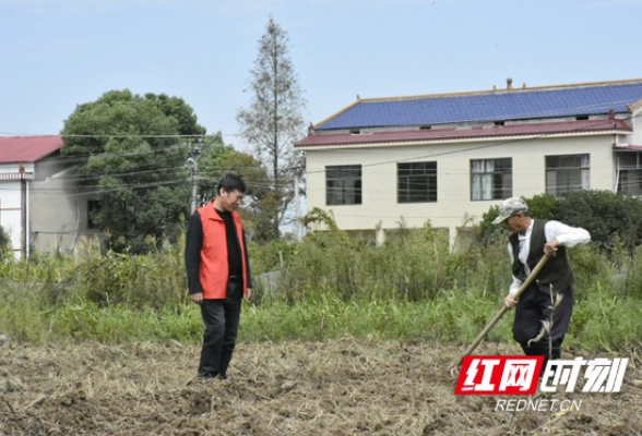 赫山欧江岔镇:把油菜播起来 让农田“忙”起来