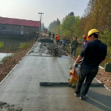 南县中鱼口镇：干群齐心修路 共建美丽乡村