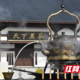 组图 | 直升机空运“千两茶王” 巨型茶壶创基尼斯纪录