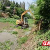 南县明山头镇：全力清理水葫芦 助力水清河道畅