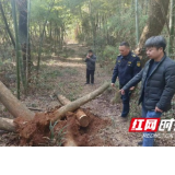 赫山泉交河镇：无人机巡航为基层执法插上“智慧翅膀”