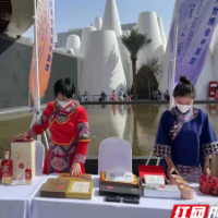 白沙溪参加“湘约迪拜 益美益阳”迪拜世博会益阳主题日活动