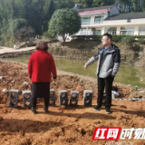 桃江县大栗港镇：坚决落实“长牙齿”的耕地保护硬措施
