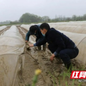 资阳区持续开展“嵌入式”服务助力防疫生产两不误