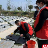 大通湖区千山红镇：志愿者代祭 树乡风文明