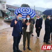 桃江政协实施“七个一”助力乡村振兴