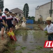 体验农耕文化 赫山区梓山湖学子劳动教育课堂开设田间