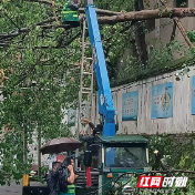 赫山区桃花仑街道：迅速清障 守护放学安全路