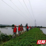 国网赫山区供电公司：普法垂钓防触电 监督同行筑防线