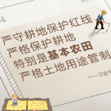 海报 | 关于耕地保护 总书记这些金句值得牢记