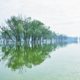 大湖潮涌听浩歌 ——沅江市奋力建设洞庭湖区核心城市纪实