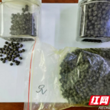 “三无”黑药丸治疗便秘？益阳公安破获一起妨害药品管理案
