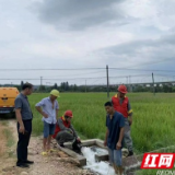 赫山供电解灌溉难题 村民感激送锦旗